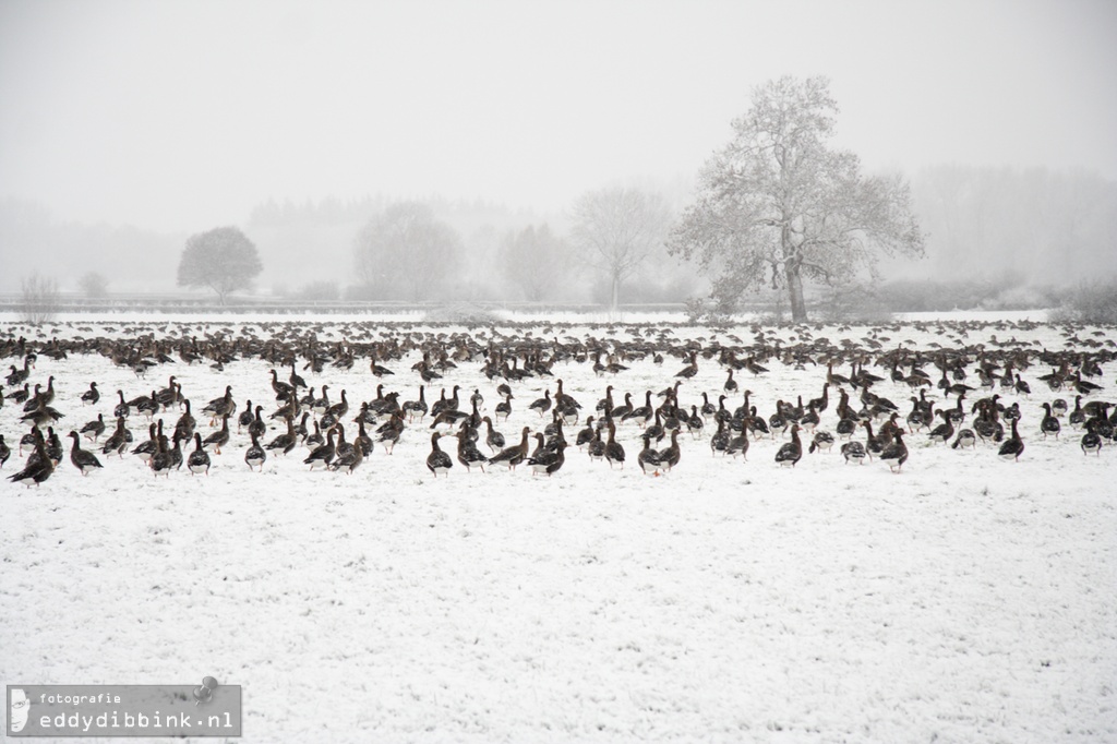 2010-12-17 Sneeuw, Deventer 013